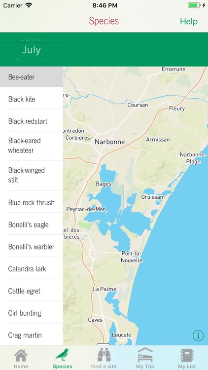 Birdwatching Narbonnaise