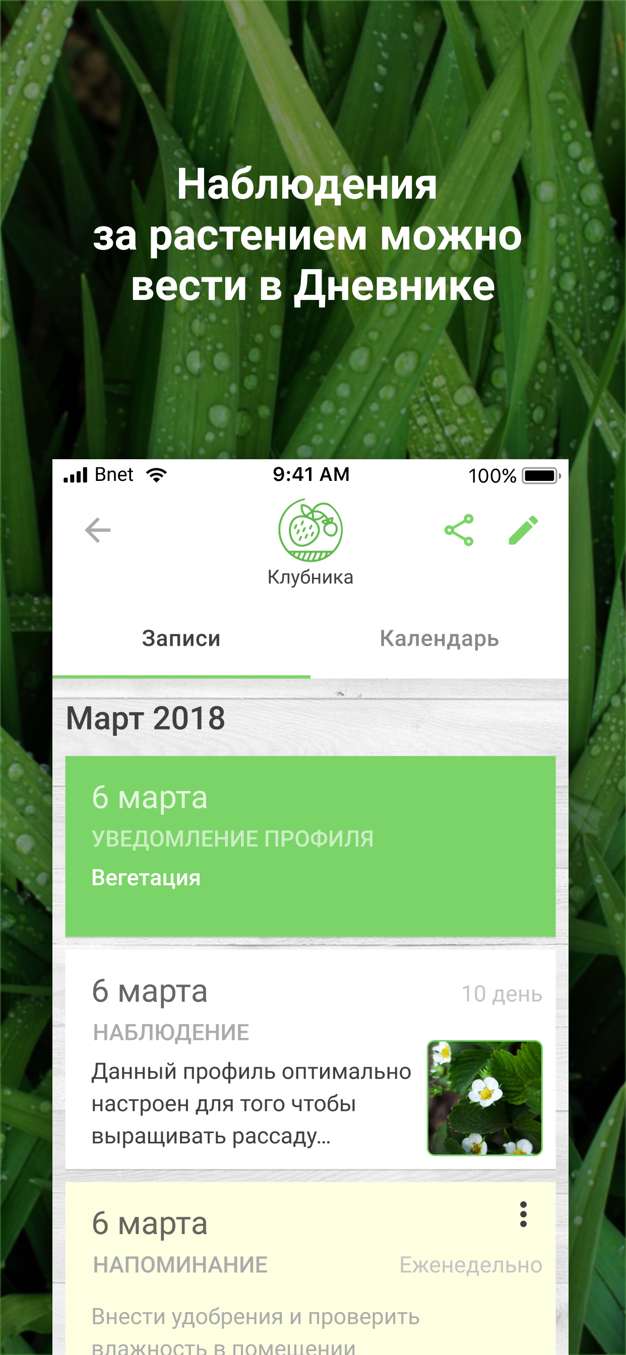Aurora SmartLight