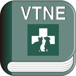 VTNE Tests