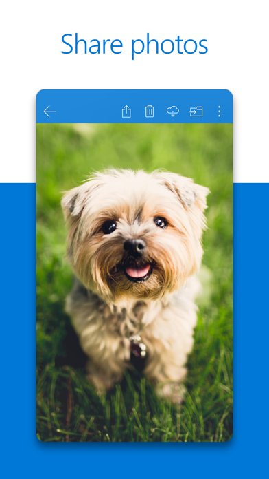 SkyDrive Screenshot 2