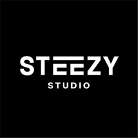  STEEZY - Learn How To Dance Alternative