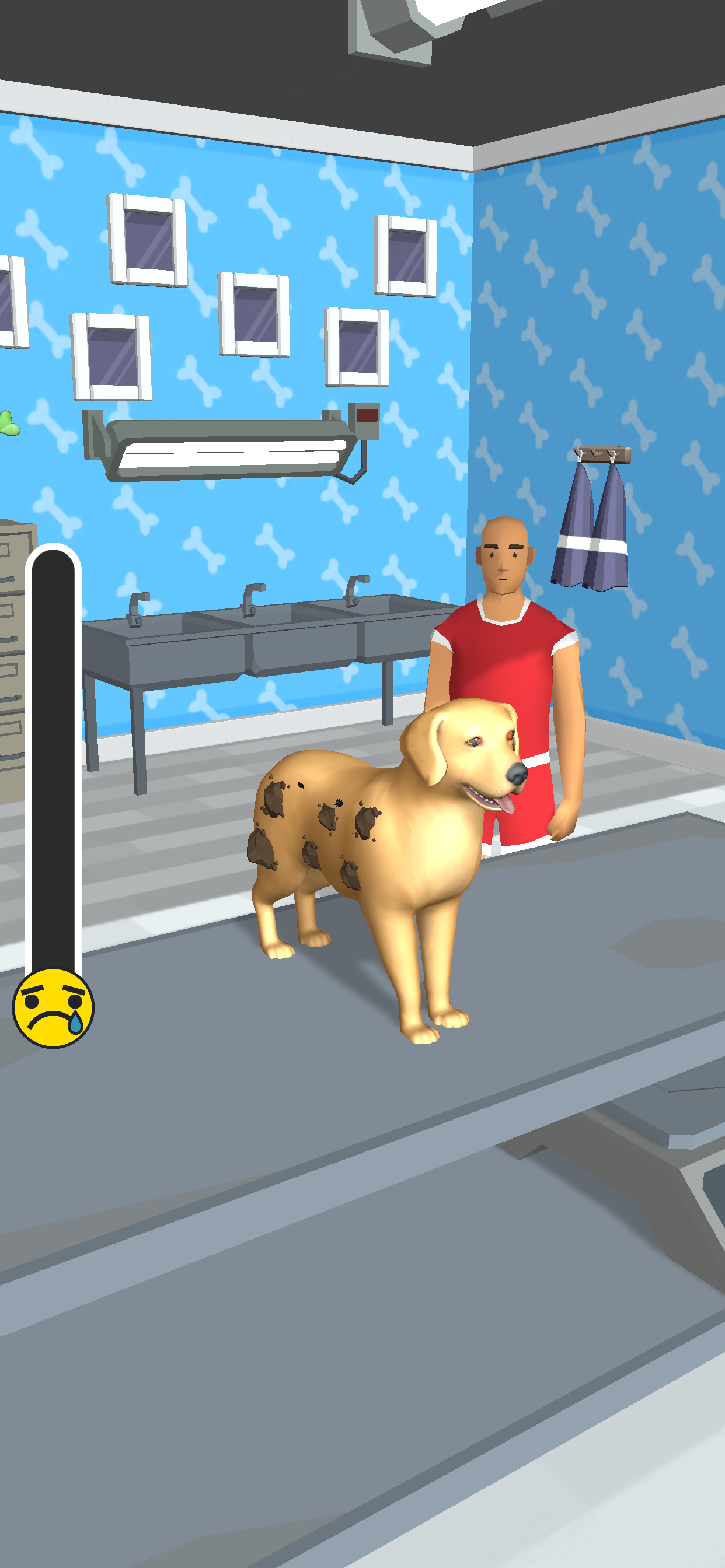 Pet Clinic 3D