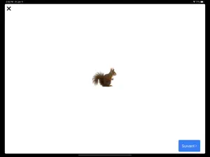 BMT-i screenshot 4