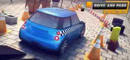Game screenshot Real Drive and Park Sim mod apk