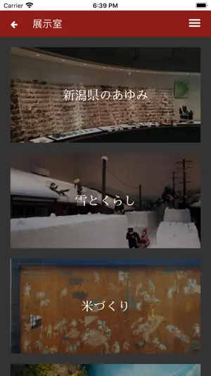 新潟レキハク screenshot 2