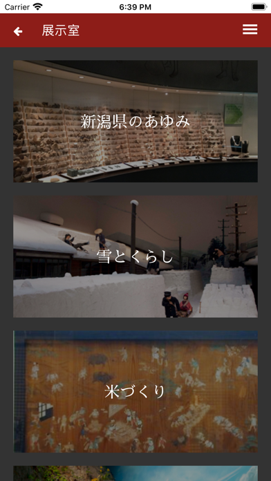 新潟レキハク iPhone screenshot