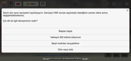 Çince İfadeler Öğren Mag Hanzi