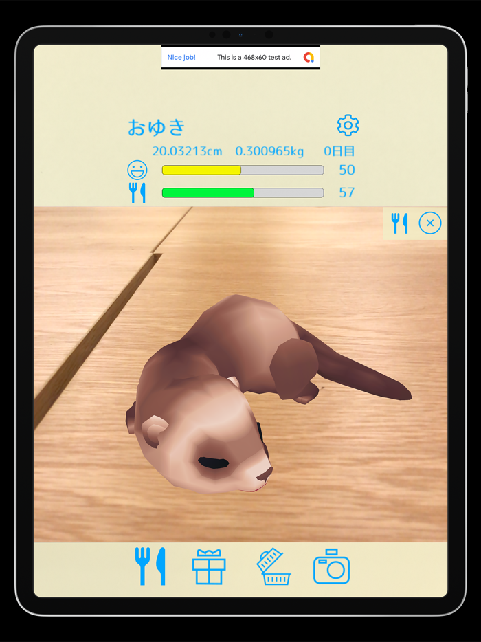 フェレットといっしょ