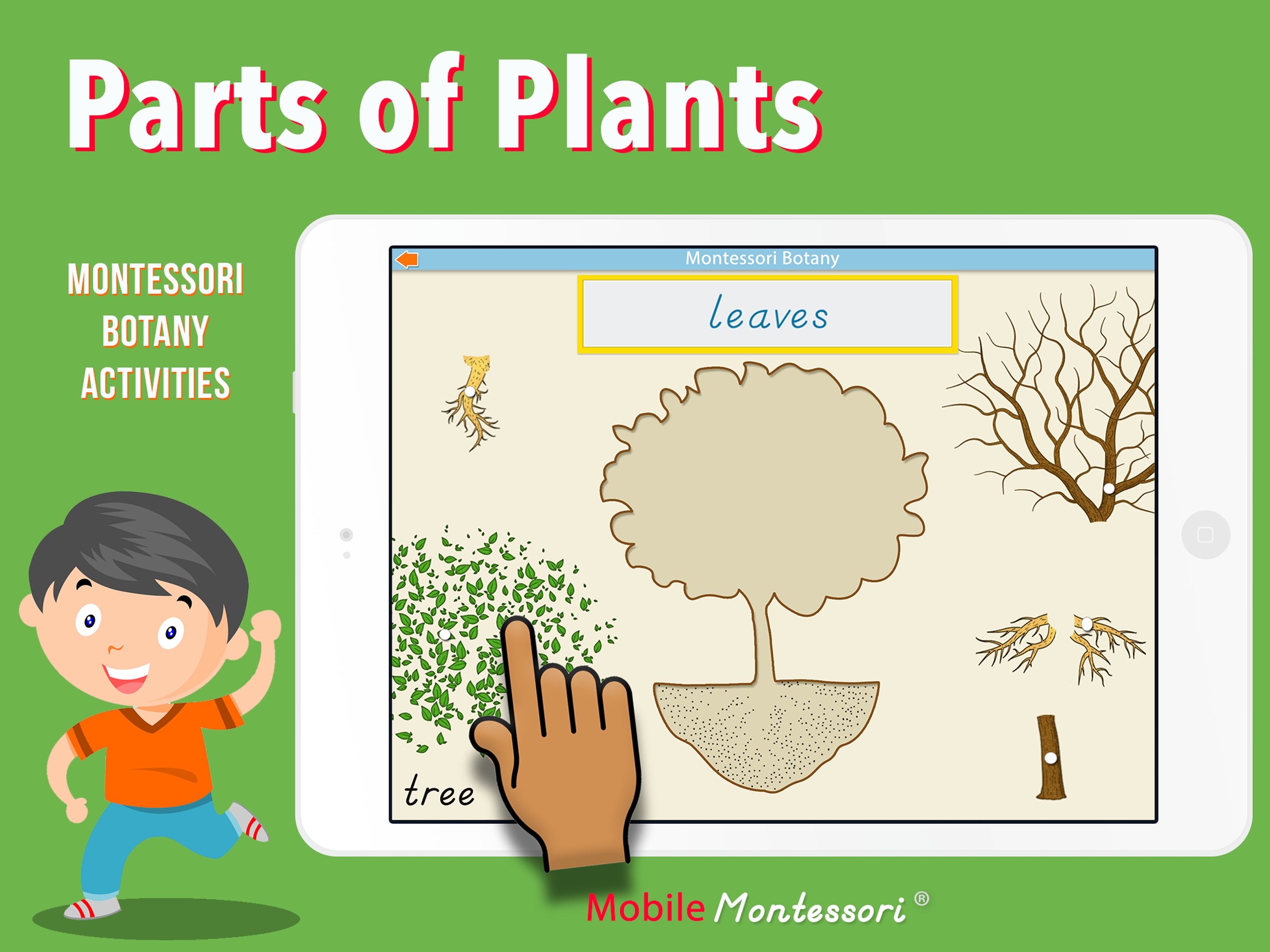 Learn Botany - Parts of Plants screenshot 9