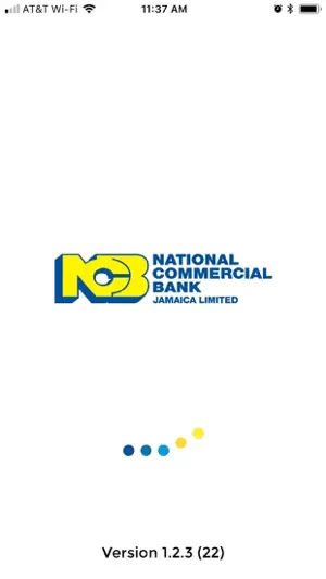 NCB mPos screenshot 1