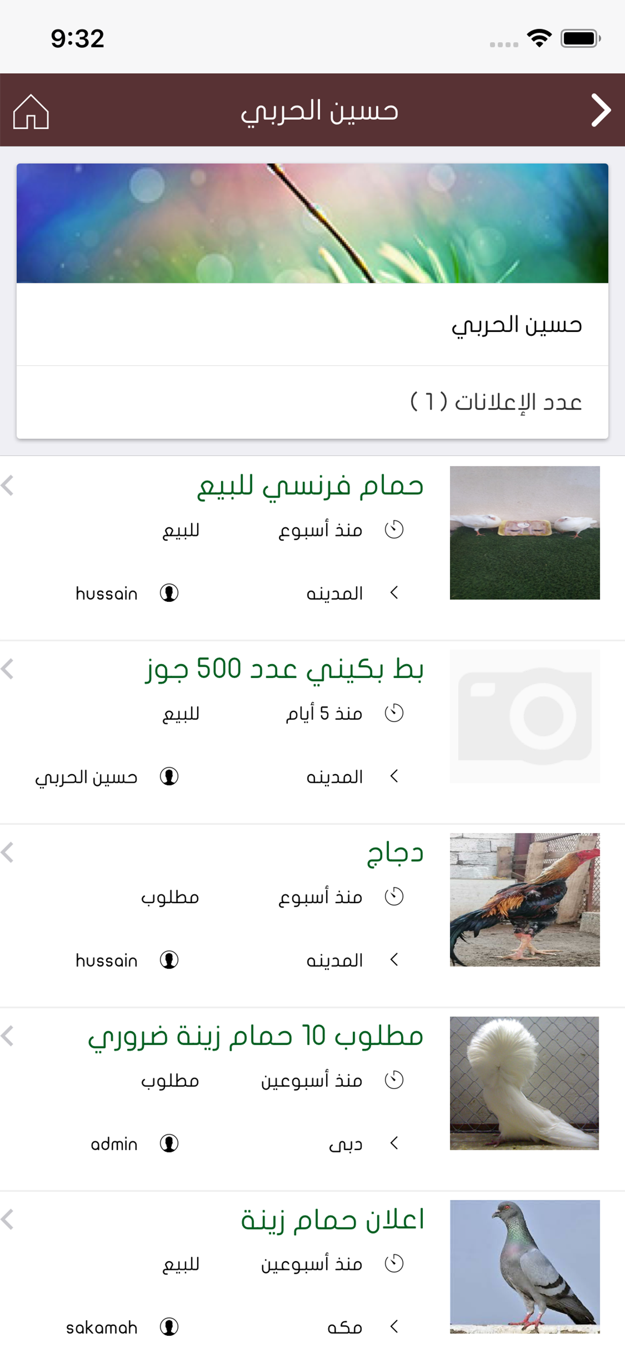 مزاد الطيور والحمام والدجاج
