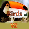 Birds of South America - iPadアプリ