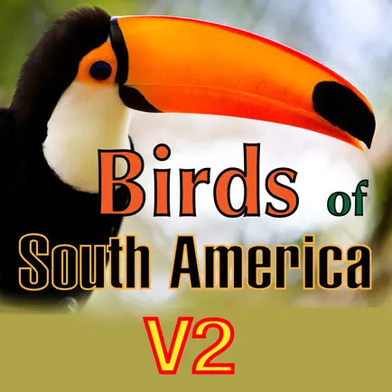 Birds of South America Cheats