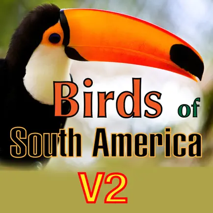 Birds of South America Читы