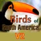 No continent supports a bigger and more varied bird population, more than 3,000 species belonging to more than 100 families are presented in this app