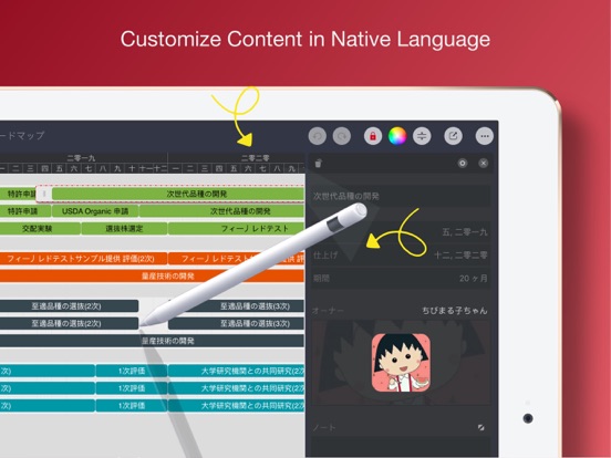 Roadmap - Timeline Plan Chart iPad screenshot 8 - Business app