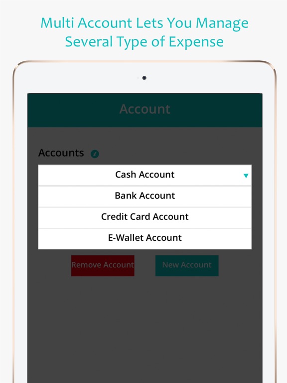 Money Expense Manager iPad screenshot 5 - Finance app