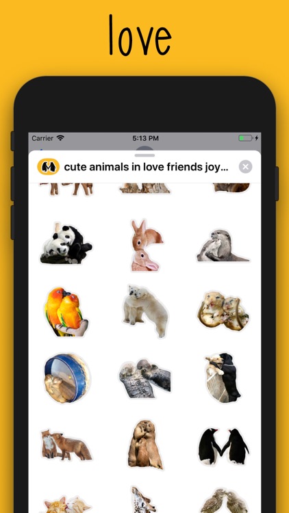 cute animals in love part 1