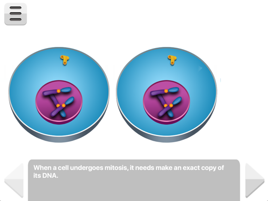 Screenshot #6 pour Biology Molecular Genetics P