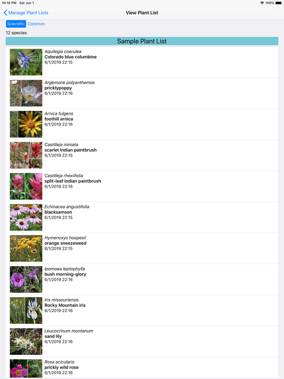 Wyoming Wildflowers iPad screenshot