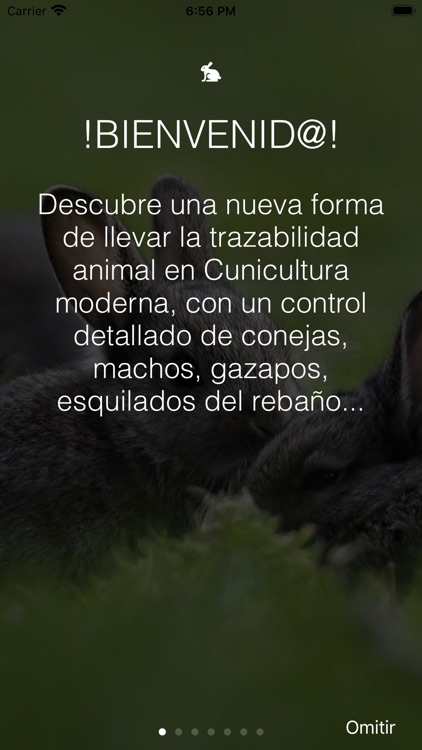 BioRabbits screenshot-5