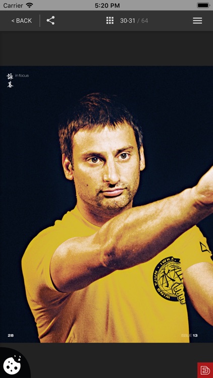 Wing Chun Illustrated screenshot-8