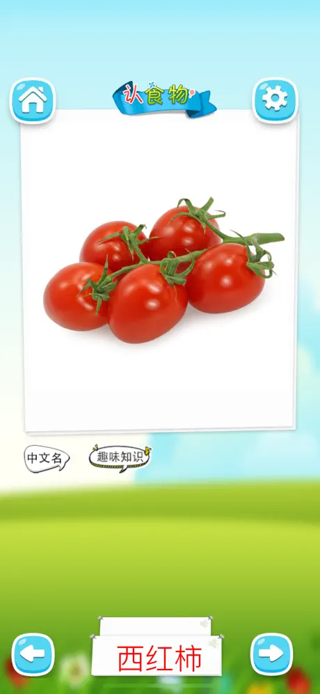 认食物 - 看图识字识物卡