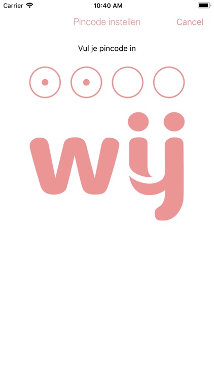 WIJ Advies screenshot-8