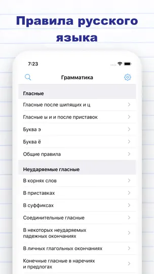 Скриншот Правила русского языка Pro на iPhone 1