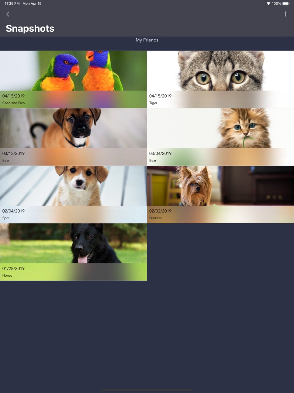 iPad screenshot
