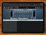 Analog Rack Guitar Equalizer ipad bilder 2