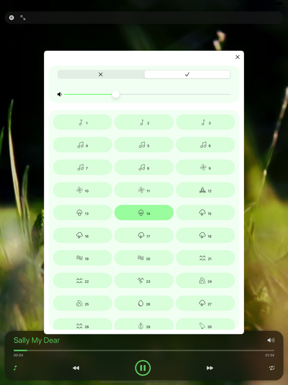 Screenshot #6 pour Musique Saint Patrick