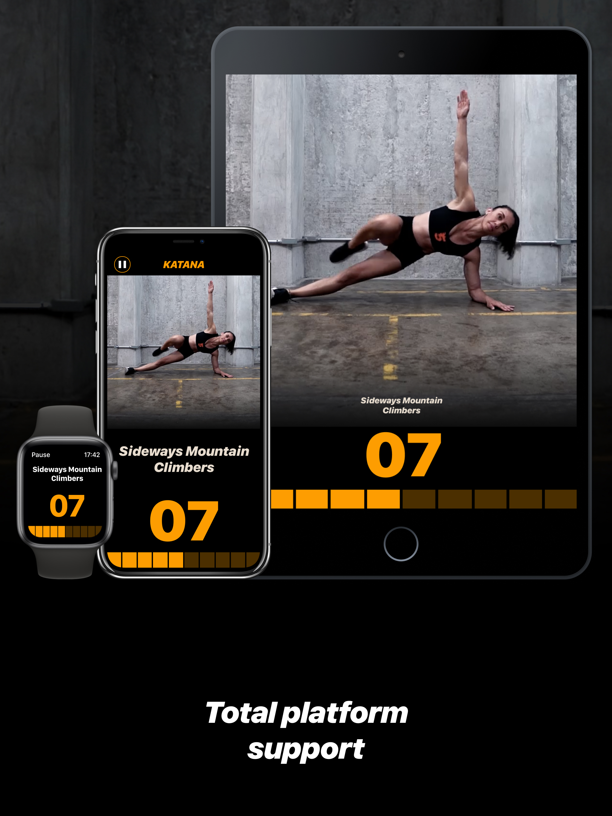 Furious Five - Home Workout