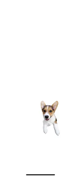 Game screenshot Catch The Dog! apk