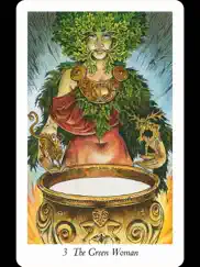 wildwood tarot ipad images 2