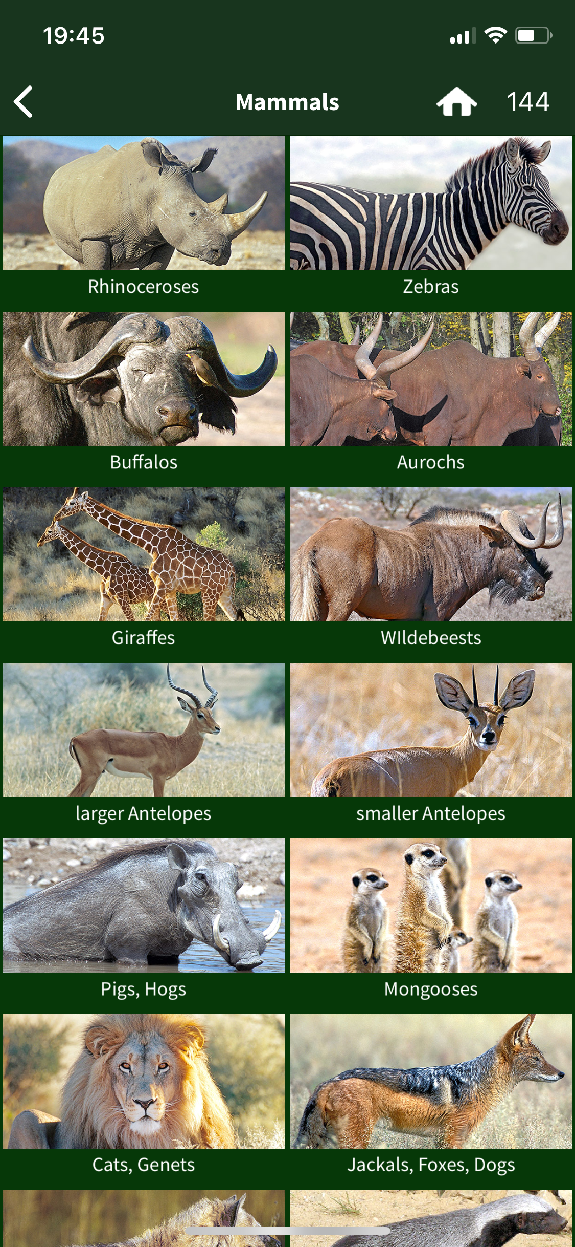 The Golden Safari Guide