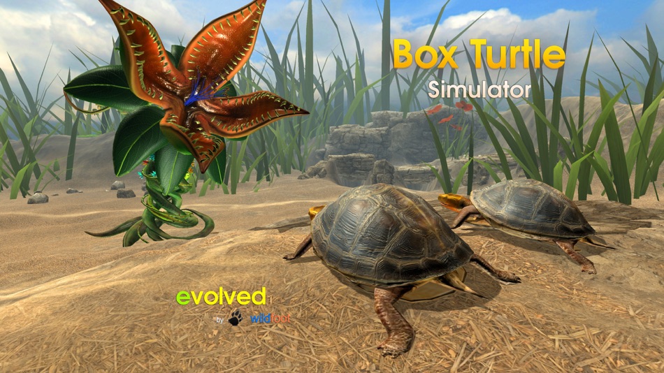 #2. Box Turtle Simulator (iOS) Ved: Boris Tsarkov