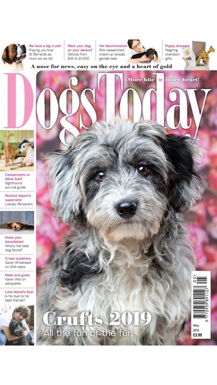 Dogs Today Magazine