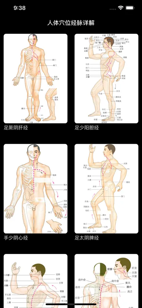 穴位经脉详解-养生保健针灸最佳参考手册