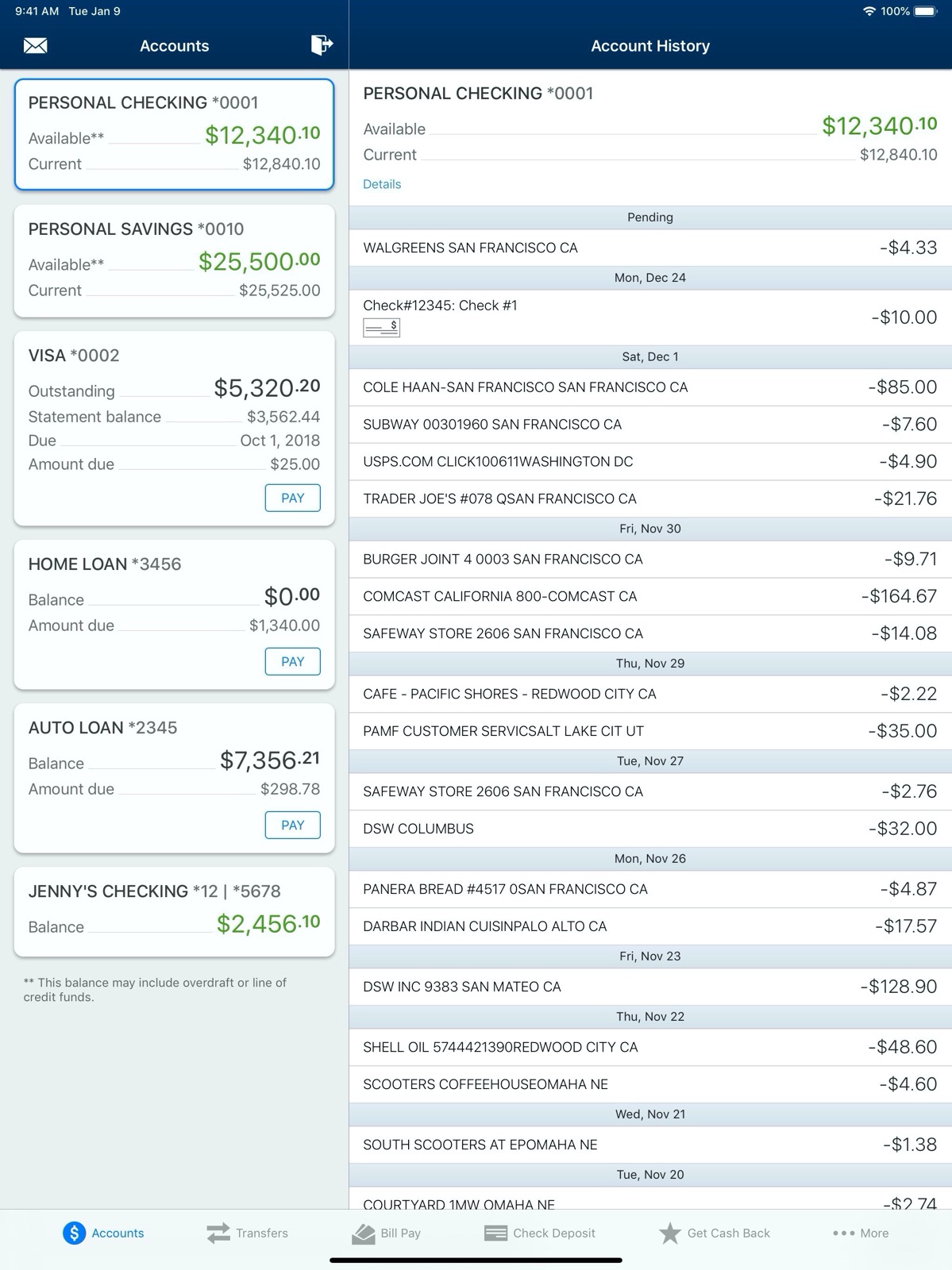 AdelFi Christian Banking ipad screenshot 3