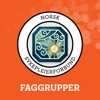 NSF Faggruppekonferanser