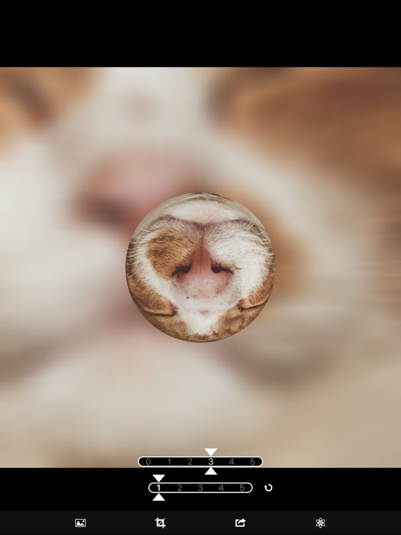 Screenshot #4 pour Marble Magick