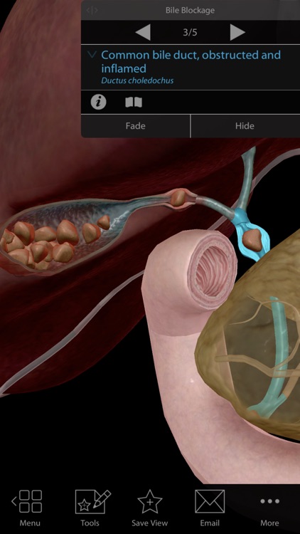 Physiology & Pathology screenshot-4