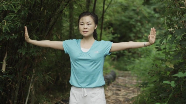 Qigong for Cancer (YMAA)