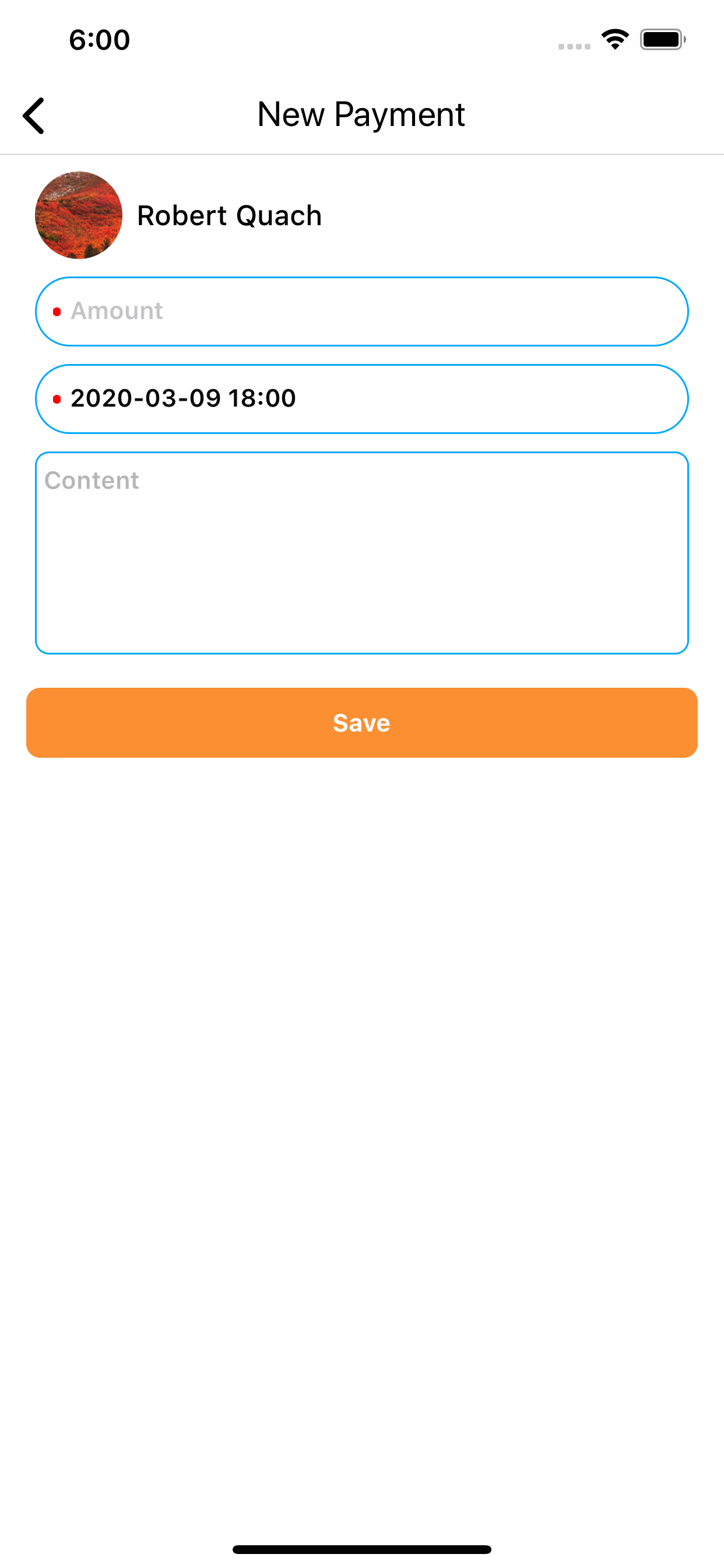 Sport Team Expenditure Control screenshot 8