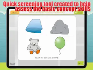 Basic Concepts Skills Screener screenshot #2 for iPad