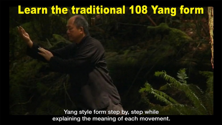 Yang Tai Chi for Beginners 1 screenshot-3