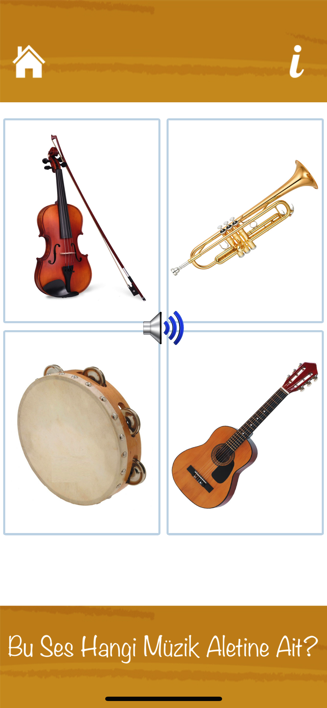 Müzik Aletlerini Öğreniyorum
