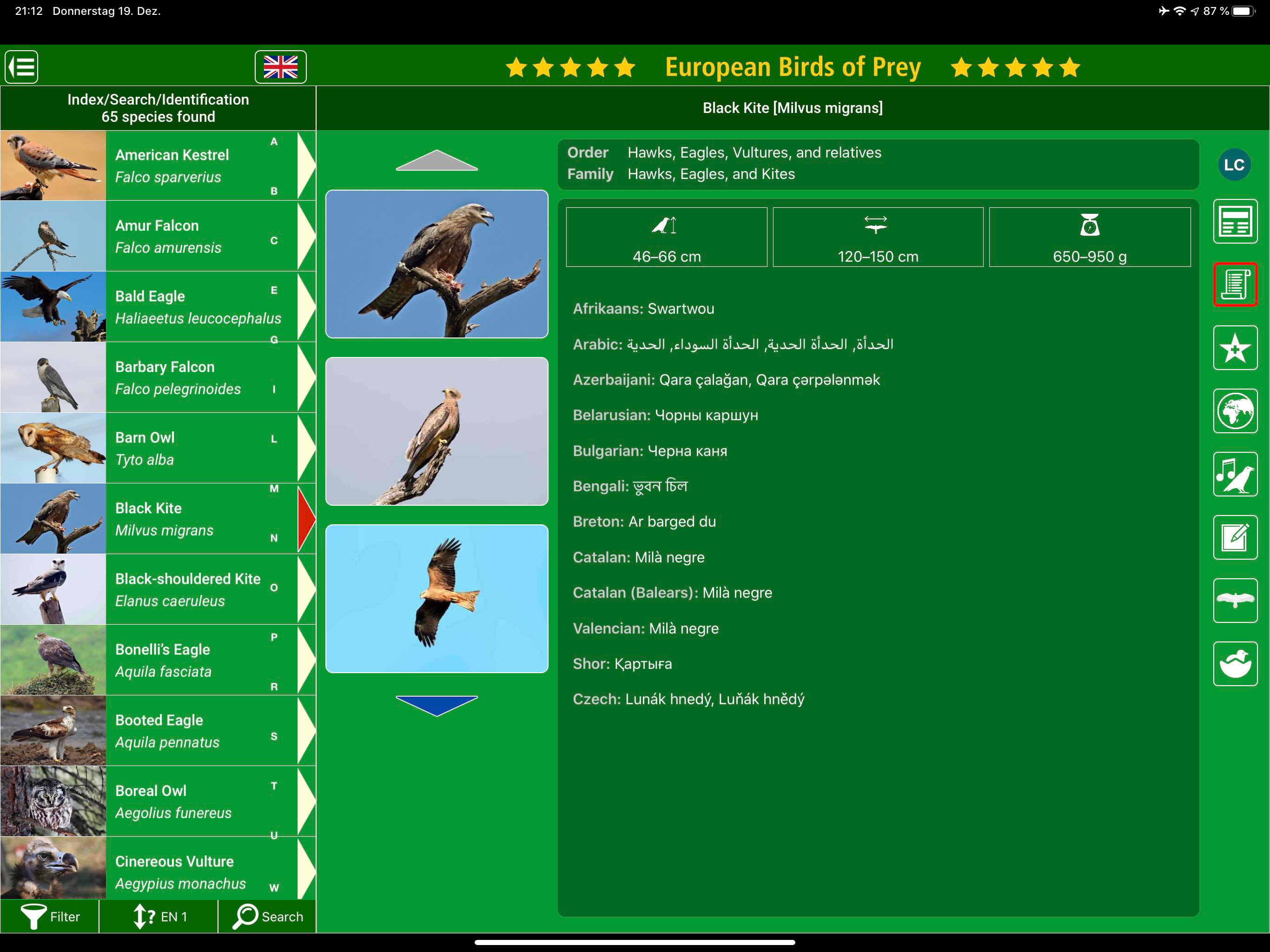 Birds of Prey and Owls screenshot 17