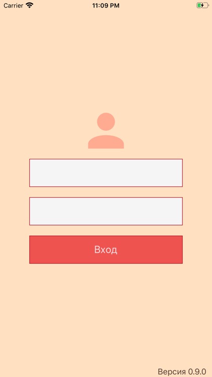 МегаАудитор